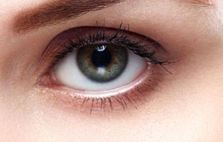 上海肋骨鼻專家綜合評(píng)測(cè)：評(píng)估戴傳昌、李圣利、陳付國(guó)、王會(huì)勇等專家能力