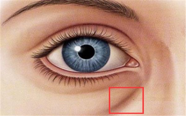 上海哪家醫(yī)院做雙眼皮好？楊嫻嫻的雙眼皮手術(shù)是否值得推薦？點(diǎn)擊查看價(jià)格表！