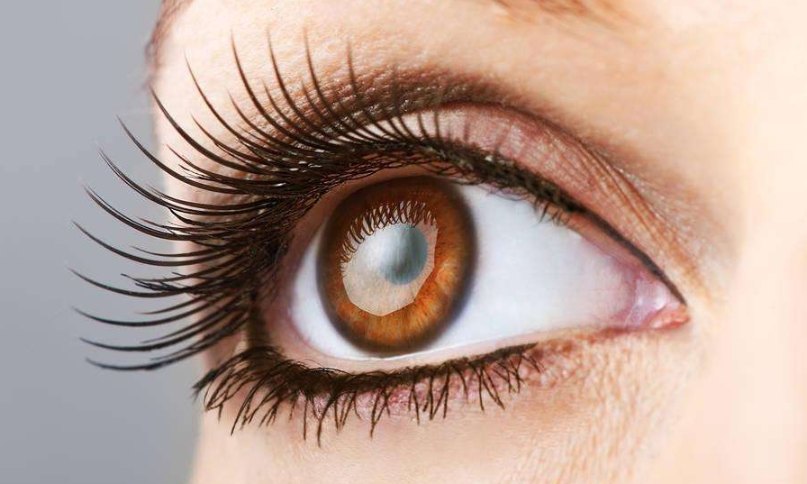 2023石家莊腰部抽脂手術(shù)正規(guī)醫(yī)生排名前十(劉冰陽(yáng)、齊一帆、張贏心技術(shù)特色價(jià)格大不一樣！)