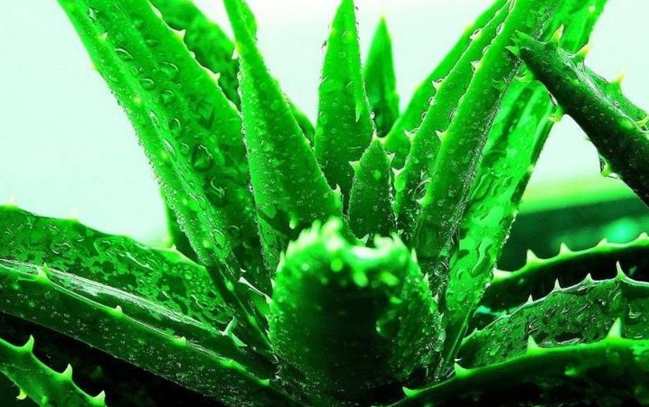 北京圣佳嘉新醫(yī)療美容怎么樣？北京圣佳嘉新醫(yī)療美容簡介|醫(yī)生團隊|口碑評價！