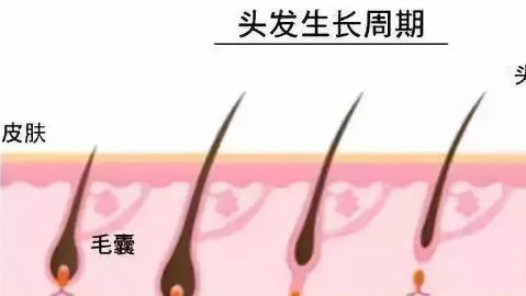 徐州市中心醫(yī)院整形美容科的醫(yī)生介紹及鼻子手術費用如何？