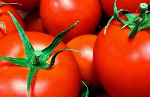 脂肪型肌肉腿如何瘦身效果更佳