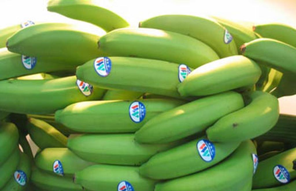 臂部和腹部的瘦身攻略是什么？