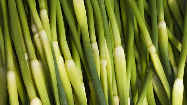 跑步瘦身的最佳速度是多少？