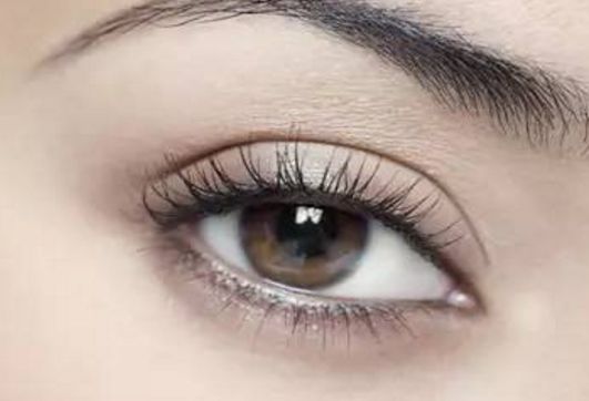 沈國(guó)雄醫(yī)生鼻形術(shù)：2023年度真實(shí)案例分析