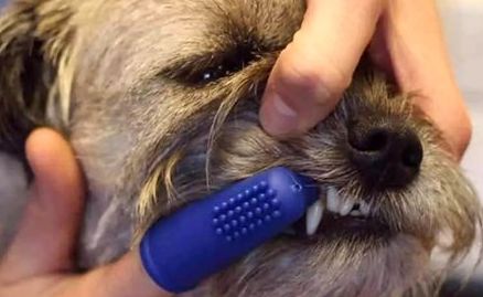 西安女子醫(yī)院醫(yī)美專家榜單，醫(yī)療精英不可錯過