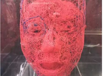 南通讓您眼中放光，經(jīng)典派與實(shí)力拍檔震撼登場！