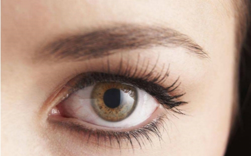 通遼天立美美容醫(yī)院口碑如何？哪位醫(yī)生值得信賴？