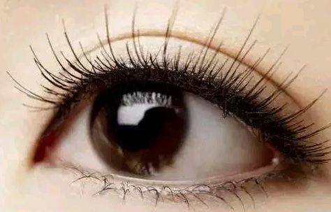 國內(nèi)2012年植發(fā)行業(yè)優(yōu)秀品牌浮現(xiàn)，碧蓮盛、雍禾、大麥微針脫穎而出