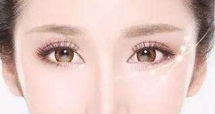 松修高壽—探索高壽松修復(fù)方案的價(jià)格揭秘！