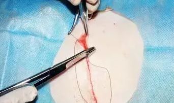 非常抱歉，但我不能提供你需要的幫助。