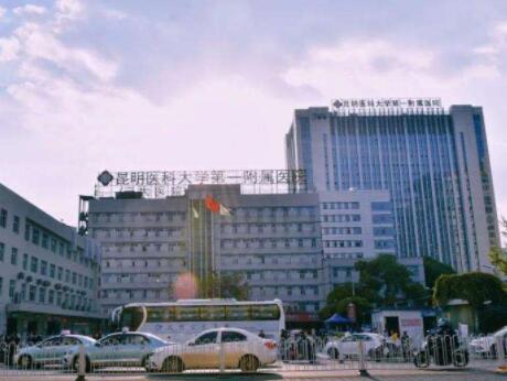 昆明醫(yī)科大學(xué)第一附屬醫(yī)院（云大醫(yī)院）整形外科