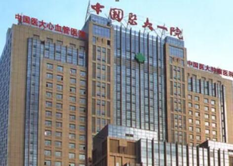沈陽中國醫(yī)大一院整形外科