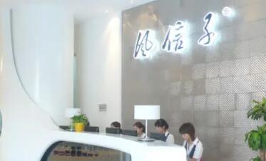 鄭州風(fēng)信子