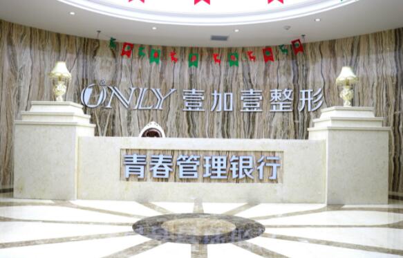 西安壹加壹醫(yī)療美容院