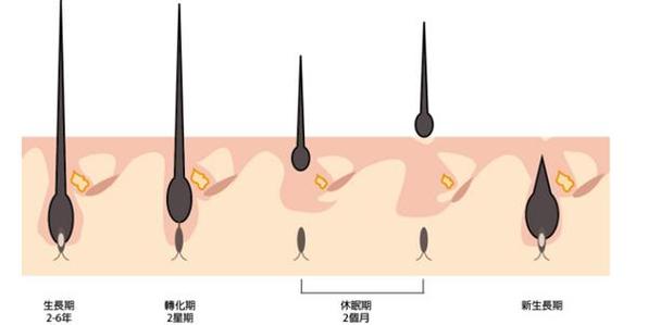 南京顱面部外傷骨折修復(fù)整形醫(yī)院口碑好的有哪些？2023南京顱面部外傷骨折修復(fù)醫(yī)療整形醫(yī)院排行榜TOP10年終