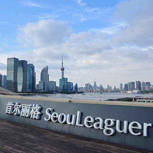 上海首爾麗格醫(yī)療美容醫(yī)院