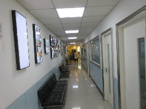 上海明珠醫(yī)院自體軟骨隆鼻有何優(yōu)勢(shì)？可以維持多久？