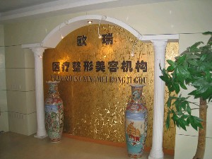 上海愛美整形假體隆鼻效果如何？價(jià)格貴嗎？