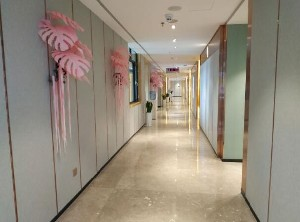 保定藍山醫(yī)療美容醫(yī)院做小腿吸脂怎么樣？