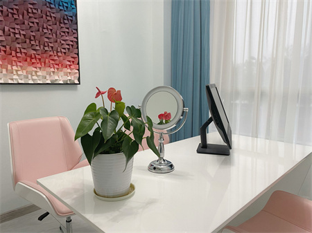 長(zhǎng)沙麗美泓愛(ài)伊莎貝爾醫(yī)療美容門(mén)診部_咨詢(xún)室