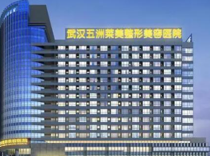 武漢十大專業(yè)整形醫(yī)院排行榜更新！十家人氣口碑醫(yī)院不容錯過！
