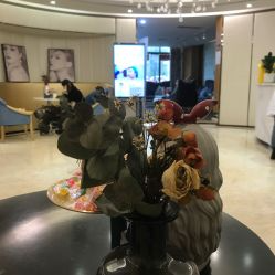 成都華人醫(yī)聯(lián)麗元醫(yī)療美容門診部_大廳