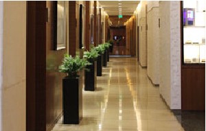 煙臺壹美整形美容醫(yī)院